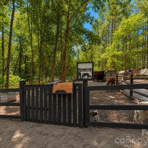 Photo #38 of 3203 Landfill, Mount Croghan, SC