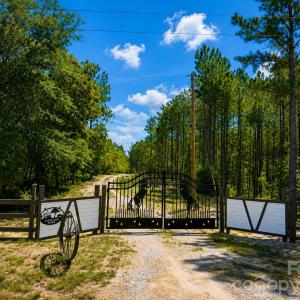 Photo #7 of 3203 Landfill, Mount Croghan, SC