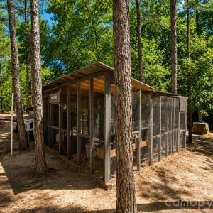 Photo #34 of 3203 Landfill, Mount Croghan, SC
