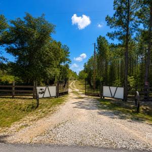 Photo #4 of 3203 Landfill, Mount Croghan, SC