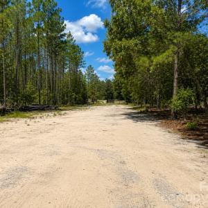 Photo #31 of 3203 Landfill, Mount Croghan, SC