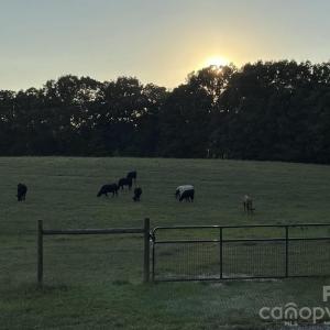 Photo #20 of 8720 Potter, Waxhaw, NC