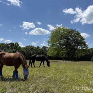 Photo #14 of 8720 Potter, Waxhaw, NC