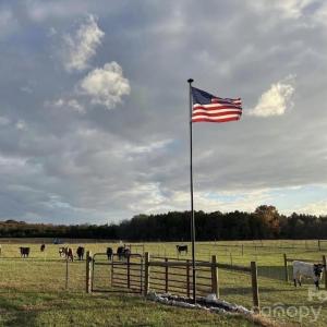 Photo #6 of 8720 Potter, Waxhaw, NC