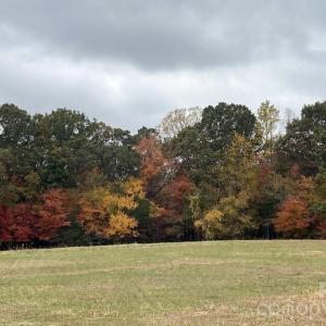 Photo #19 of 8720 Potter, Waxhaw, NC