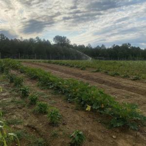 Photo #25 of 8720 Potter, Waxhaw, NC