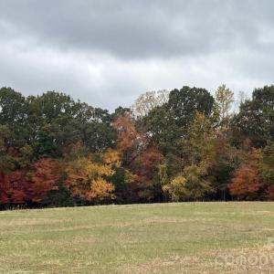Photo #18 of 8720 Potter, Waxhaw, NC