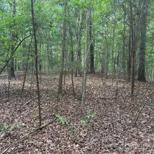 Photo #2 of 7.5 Acres Old Camden Monroe, Lancaster, SC