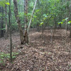Photo #1 of 7.5 Acres Old Camden Monroe, Lancaster, SC