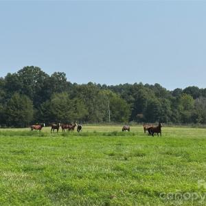 Photo #25 of 12917 Austin, Locust, NC