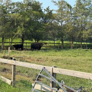Photo #14 of 12917 Austin, Locust, NC