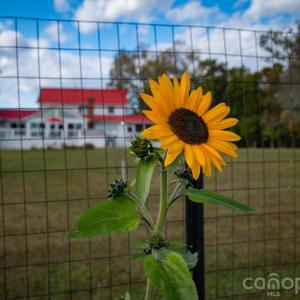 Photo #26 of 1260 Beaver Island Trail, Walnut Cove, NC