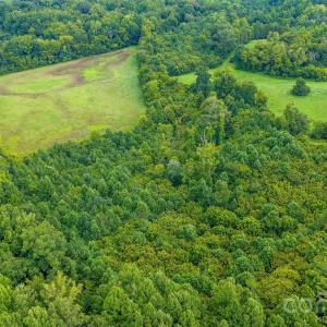 Photo #13 of Pasture, Mt Ulla, NC