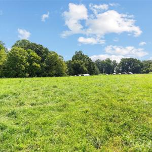 Photo #14 of Pasture, Mt Ulla, NC