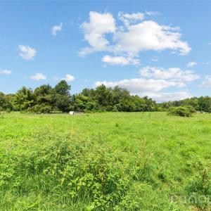 Photo #1 of Pasture, Mt Ulla, NC