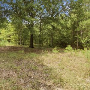 Photo #6 of 2625/2655 Pleasant, Fort Mill, SC
