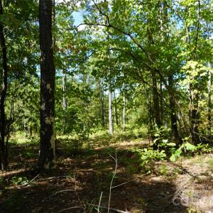 Photo #7 of 6+/- AC Lot 1 Parson, McConnells, SC