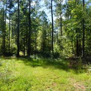 Photo #10 of 6+/- AC Lot 1 Parson, McConnells, SC