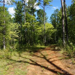 Photo #11 of 6+/- AC Lot 1 Parson, McConnells, SC
