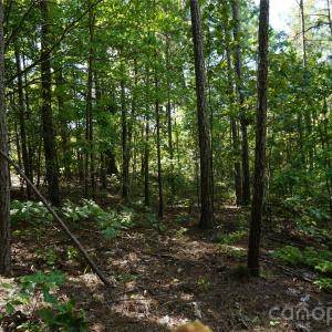 Photo #14 of 6+/- AC Lot 1 Parson, McConnells, SC