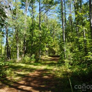 Photo #13 of 6+/- AC Lot 1 Parson, McConnells, SC