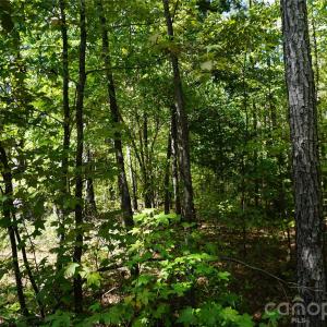 Photo #4 of 6+/- AC Lot 1 Parson, McConnells, SC