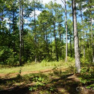 Photo #9 of 6+/- AC Lot 1 Parson, McConnells, SC