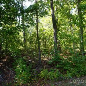 Photo #20 of 6+/- AC Lot 1 Parson, McConnells, SC