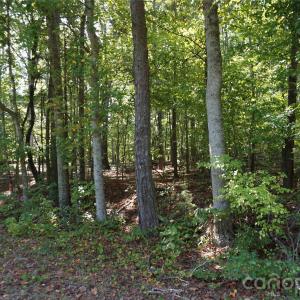 Photo #19 of 6+/- AC Lot 1 Parson, McConnells, SC
