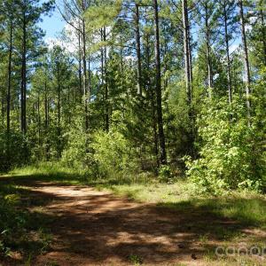 Photo #12 of 6+/- AC Lot 1 Parson, McConnells, SC