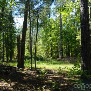 Photo #8 of 6+/- AC Lot 1 Parson, McConnells, SC
