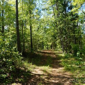 Photo #5 of 6+/- AC Lot 1 Parson, McConnells, SC