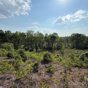 Photo #30 of 01 Old Cheraw, Rockingham, NC