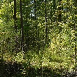 Photo #5 of 15+/- AC Lot 2 Parson, McConnells, SC