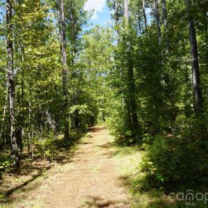 Photo #12 of 15+/- AC Lot 2 Parson, McConnells, SC