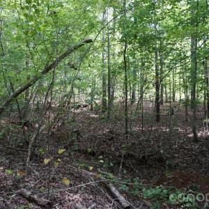 Photo #21 of 15+/- AC Lot 2 Parson, McConnells, SC