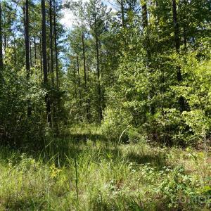 Photo #3 of 15+/- AC Lot 2 Parson, McConnells, SC