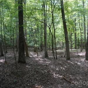 Photo #20 of 15+/- AC Lot 2 Parson, McConnells, SC