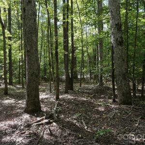 Photo #23 of 15+/- AC Lot 2 Parson, McConnells, SC