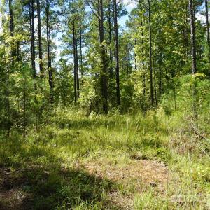 Photo #6 of 15+/- AC Lot 2 Parson, McConnells, SC