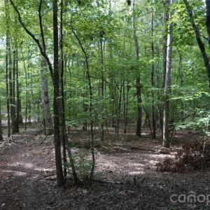 Photo #19 of 15+/- AC Lot 2 Parson, McConnells, SC