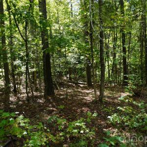 Photo #11 of 15+/- AC Lot 2 Parson, McConnells, SC