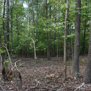 Photo #15 of 15+/- AC Lot 2 Parson, McConnells, SC