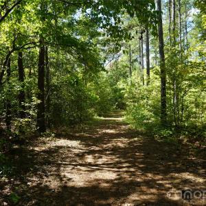 Photo #8 of 15+/- AC Lot 2 Parson, McConnells, SC
