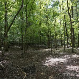 Photo #22 of 15+/- AC Lot 2 Parson, McConnells, SC
