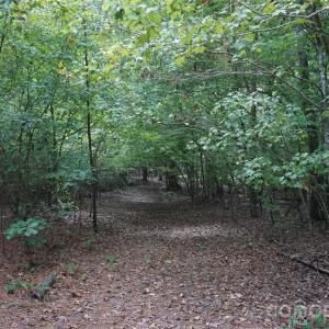 Photo #17 of 15+/- AC Lot 2 Parson, McConnells, SC