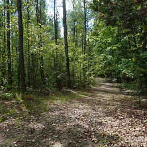 Photo #13 of 15+/- AC Lot 2 Parson, McConnells, SC