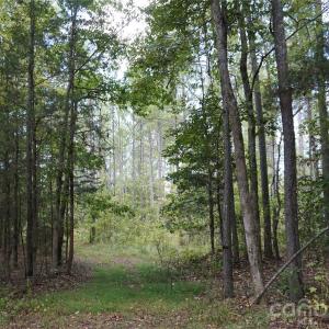 Photo #9 of 12+/- AC Parson, McConnells, SC