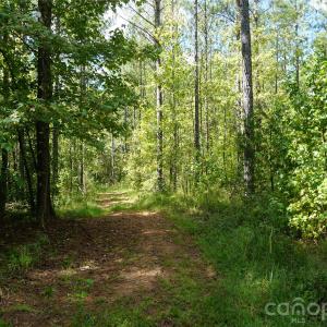 Photo #1 of 12+/- AC Parson, McConnells, SC