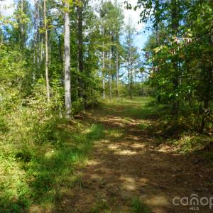 Photo #13 of 12+/- AC Parson, McConnells, SC